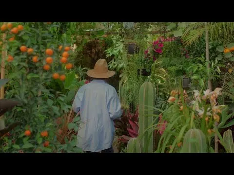 Anatome by Novo Amor & Lowswimmer from album 'Heiress'. Film by Adri Carrandi thumbnail